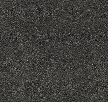 Ковролин AW Vivendi Punch 95 фото 1 | FLOORDEALER